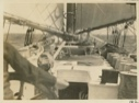 Image of Deck view of Bowdoin, wing and wing